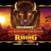 カジノスロット、”MegaWays” のプレイ方法、『Buffalo Rising Megaways』／レビュー＆